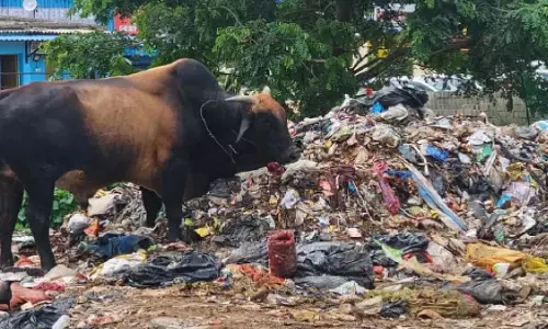 Puri बाईपास रोड पर कचरा डंप होने से भुवनेश्वर में बदबू फैल रही है Puri बाईपास रोड पर कचरा डंप होने से भुवनेश्वर में बदबू फैल रही है
