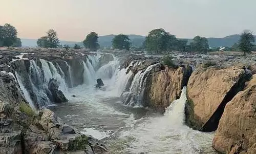 Tamil Nadu : होगेनक्कल में जल प्रवाह बढ़ा Tamil Nadu : होगेनक्कल में जल प्रवाह बढ़ा