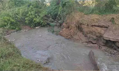Haryana: चौटाला डिस्ट्रीब्यूटरी टूटी, 90 एकड़ फसलें जलमग्न Haryana: चौटाला डिस्ट्रीब्यूटरी टूटी, 90 एकड़ फसलें जलमग्न