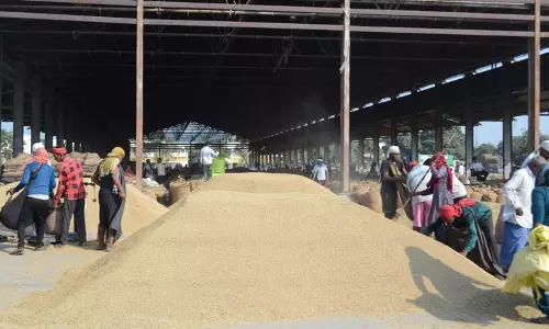 Haryana : करनाल की मंडियों में नमी मीटर न होने पर किसानों ने जताया रोष