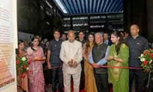 चेन्नई एयरपोर्ट पर तस्करी के कई प्रयास नाकाम: सीमा शुल्क विभाग