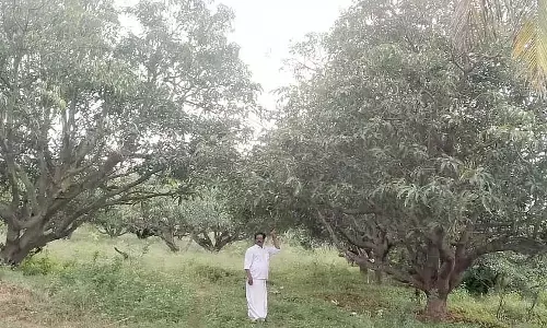Gajendragarh : किसान वीरैया को एकीकृत खेती से मिला भारी मुनाफा Gajendragarh : किसान वीरैया को एकीकृत खेती से मिला भारी मुनाफा