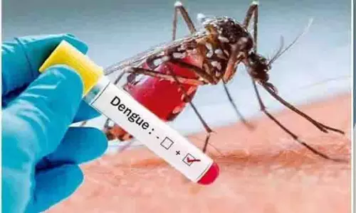 कठुआ, उधमपुर में डेंगू के मामले बढ़े, Jammu में समग्र गिरावट दर्ज की गई