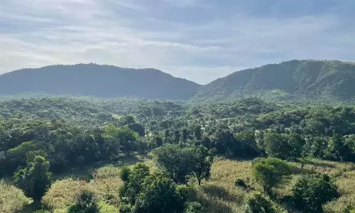 Gurugram और फरीदाबाद की अधिकांश पहाड़ियाँ मानचित्रों से क्यों गायब हो सकती हैं?
