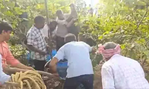 Hyderabad: नहर के पास 12 फीट लंबा मगरमच्छ देखा गया