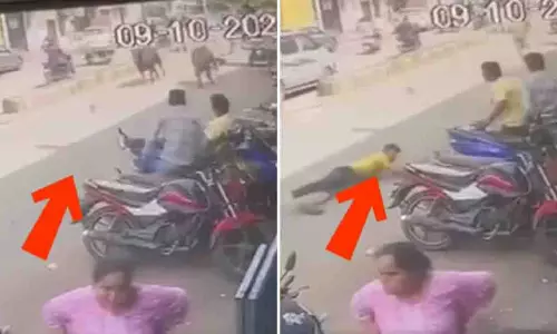 Vadodara: डरी हुई गाय ने नगरपालिका कर्मचारी को आधा किलोमीटर तक घसीटा Vadodara: डरी हुई गाय ने नगरपालिका कर्मचारी को आधा किलोमीटर तक घसीटा