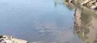 Dhanbad : दामोदर में बह रहा वाशरी का ‘काला’ पानी Dhanbad : दामोदर में बह रहा वाशरी का ‘काला’ पानी