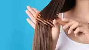 How To Comb Hair Properly: कंघी करते समय आपके बाल झड़ते हैं, तो अपनाएं आसान टिप्स How To Comb Hair Properly: कंघी करते समय आपके बाल झड़ते हैं, तो अपनाएं आसान टिप्स