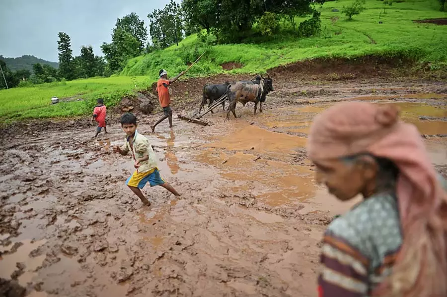 Maharashtra : सरकार ने बारिश प्रभावित तहसीलों में कृषि ऋण वसूली स्थगित की Maharashtra : सरकार ने बारिश प्रभावित तहसीलों में कृषि ऋण वसूली स्थगित की