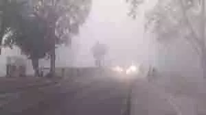 Madhya Pradesh: शीतलहर की मार, पहाड़ों पर बर्फबारी, पारा गिरा Madhya Pradesh: शीतलहर की मार, पहाड़ों पर बर्फबारी, पारा गिरा