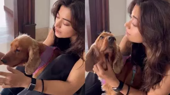 After Vijay Deverakonda, उनकी मंगेतर रश्मिका मंदाना ने बड़े हीरे की सगाई की अंगूठी दिखाई After Vijay Deverakonda, उनकी मंगेतर रश्मिका मंदाना ने बड़े हीरे की सगाई की अंगूठी दिखाई