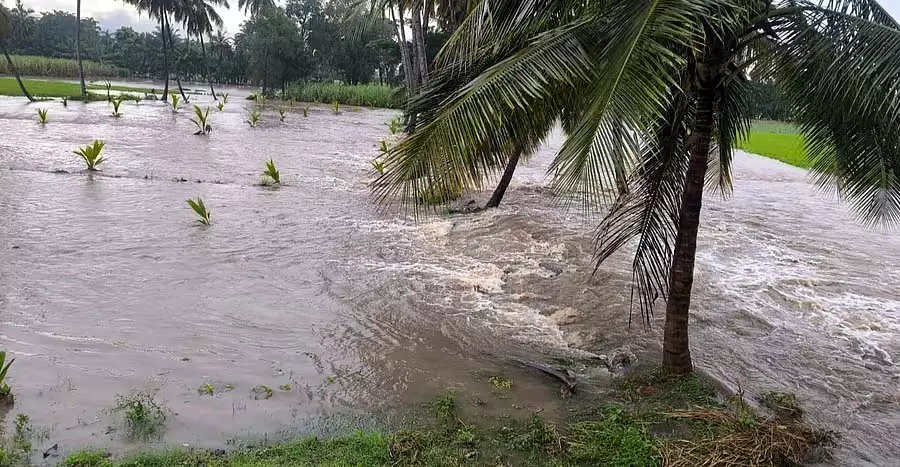 Srirangapatna : भारी बारिश के कारण एक नदी उफान पर आ गई Srirangapatna : भारी बारिश के कारण एक नदी उफान पर आ गई