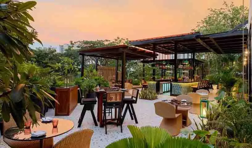 Hyatt Hyderabad गाचीबोवली ने लाइव किचन अनुभव के थिएटर के रूप में 4 नोट्स लॉन्च किया Hyatt Hyderabad गाचीबोवली ने लाइव किचन अनुभव के थिएटर के रूप में 4 नोट्स लॉन्च किया