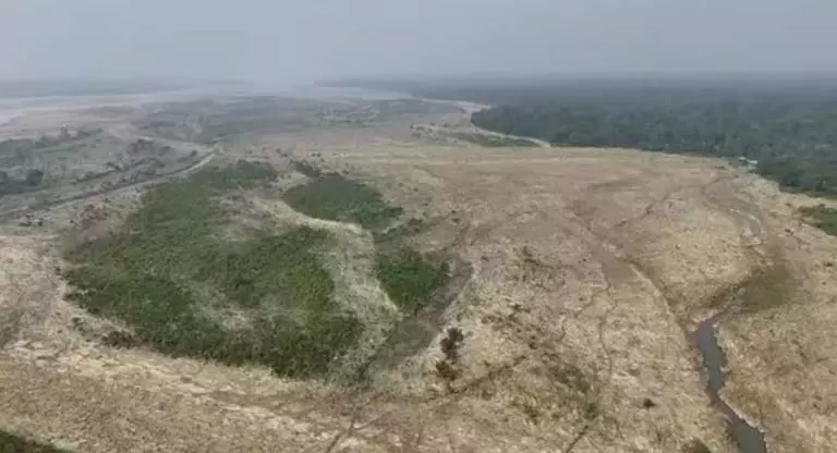 बाढ़ से वन्यजीवों के खाद्य भंडार नष्ट, उत्तर बंगाल खतरे में बाढ़ से वन्यजीवों के खाद्य भंडार नष्ट, उत्तर बंगाल खतरे में