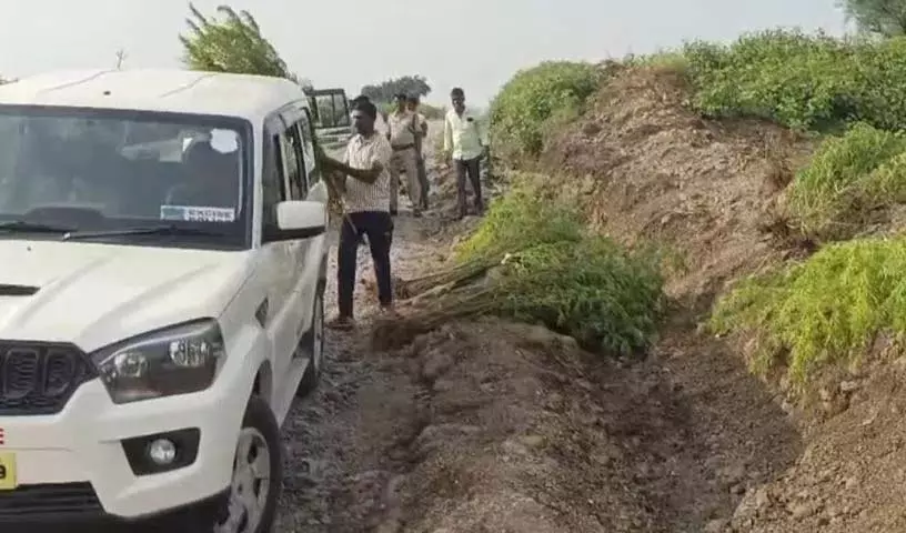 तंबाकू के खेत में गांजा रोपण रोकने गई आबकारी पुलिस पर किसानों ने किया हमला तंबाकू के खेत में गांजा रोपण रोकने गई आबकारी पुलिस पर किसानों ने किया हमला