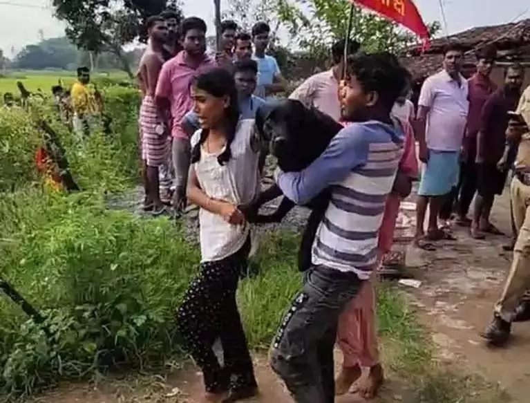 जशपुर में कुत्तों के हमलों से ग्रामीणों में दहशत, दो बच्चे गंभीर रूप से घायल जशपुर में कुत्तों के हमलों से ग्रामीणों में दहशत, दो बच्चे गंभीर रूप से घायल