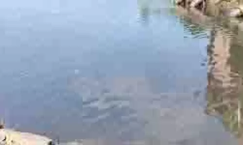 Dhanbad : दामोदर में बह रहा वाशरी का ‘काला’ पानी