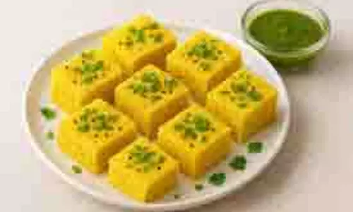 Besan Dhokla Recipe: बिना तेल मसाले के सुबह नाश्ते में झटपट बनाएं हेल्दी बेसन ढोकला Besan Dhokla Recipe: बिना तेल मसाले के सुबह नाश्ते में झटपट बनाएं हेल्दी बेसन ढोकला