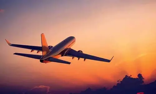 पुणे से दिल्ली जा रहा आकाश एयर का विमान पक्षी से टकराया; राष्ट्रीय राजधानी में सुरक्षित उतरा पुणे से दिल्ली जा रहा आकाश एयर का विमान पक्षी से टकराया; राष्ट्रीय राजधानी में सुरक्षित उतरा