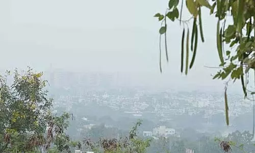 MP : राज्य के कुछ हिस्सों में तापमान 14°C तक गिरा, सर्दी का शुरुआती दौर शुरू MP : राज्य के कुछ हिस्सों में तापमान 14°C तक गिरा, सर्दी का शुरुआती दौर शुरू
