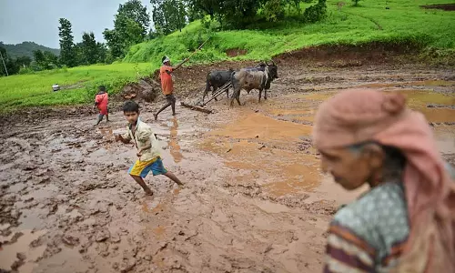 Maharashtra : सरकार ने बारिश प्रभावित तहसीलों में कृषि ऋण वसूली स्थगित की