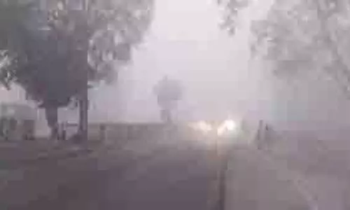 Madhya Pradesh: शीतलहर की मार, पहाड़ों पर बर्फबारी, पारा गिरा