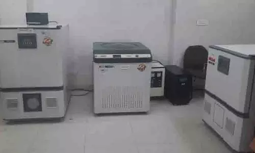 Fazilka में डेंगू के 58 मामले सामने आए