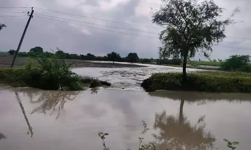 Kundagol : नहर टूटने से फसलों को भारी नुकसान Kundagol : नहर टूटने से फसलों को भारी नुकसान