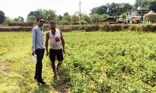 उन्नत विधि का लाभ मिल रहा किसानों को