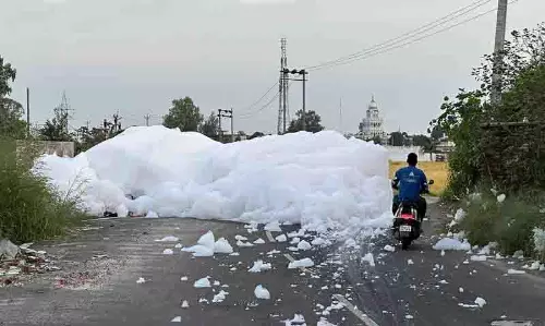 जालंधर में STP के पास झाग फैलने से 66 फीट रोड पर यातायात बाधित जालंधर में STP के पास झाग फैलने से 66 फीट रोड पर यातायात बाधित