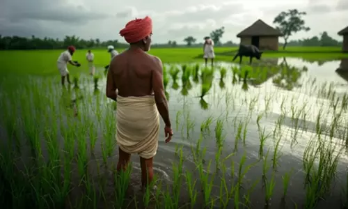किसानों के लिए लॉन्च की गई नई योजनाएं एक ऐतिहासिक सौगात, बेहतर होगा अन्नदाताओं का जीवन किसानों के लिए लॉन्च की गई नई योजनाएं एक ऐतिहासिक सौगात, बेहतर होगा अन्नदाताओं का जीवन