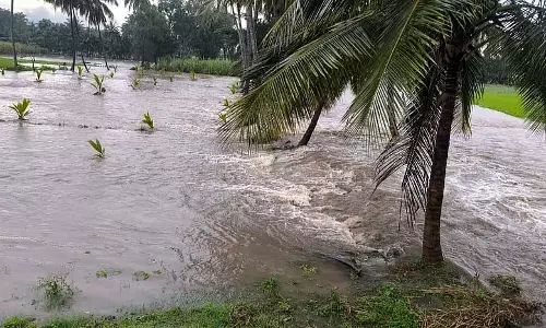 Srirangapatna : भारी बारिश के कारण एक नदी उफान पर आ गई Srirangapatna : भारी बारिश के कारण एक नदी उफान पर आ गई