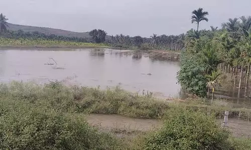 चिकमगलुरु जिले में भारी बारिश: बागों में पानी भर गया, प्याज की फसलें पानी में डूब गई चिकमगलुरु जिले में भारी बारिश: बागों में पानी भर गया, प्याज की फसलें पानी में डूब गई