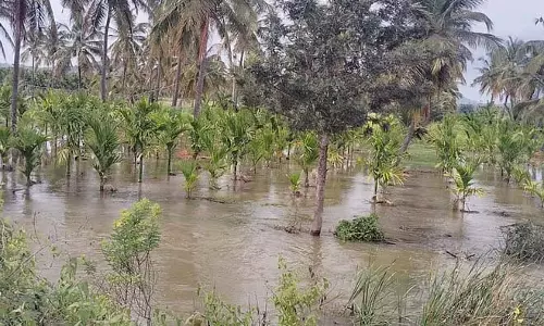 कर्नाटक में बारिश : खेतों में पानी भर गया