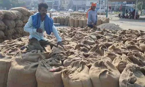 Ludhiana: धान खरीद में तेजी
