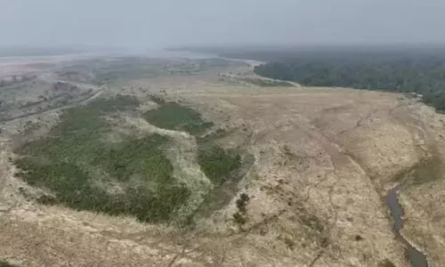 बाढ़ से वन्यजीवों के खाद्य भंडार नष्ट, उत्तर बंगाल खतरे में बाढ़ से वन्यजीवों के खाद्य भंडार नष्ट, उत्तर बंगाल खतरे में
