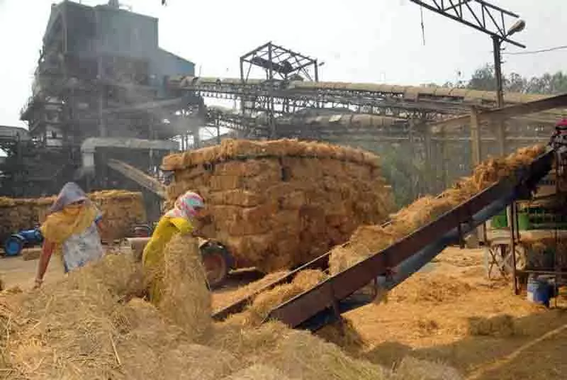 Punjab: बायोमास संयंत्र का संचालन रुका, पराली प्रबंधन की चिंता बढ़ी Punjab: बायोमास संयंत्र का संचालन रुका, पराली प्रबंधन की चिंता बढ़ी