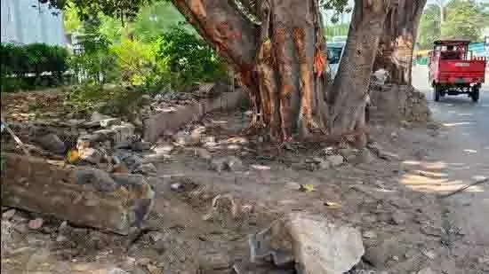 Sector 12: कार के नियंत्रण खोने से पेड़ से टकराने से 21 वर्षीय युवक की मौत Sector 12: कार के नियंत्रण खोने से पेड़ से टकराने से 21 वर्षीय युवक की मौत