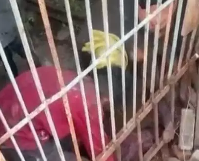 सुरंग में फंसे चोर, केबल चोरी करते रंगे हाथ दबोचे गए सुरंग में फंसे चोर, केबल चोरी करते रंगे हाथ दबोचे गए