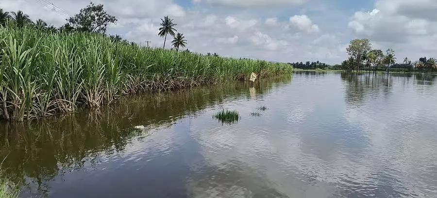 Karnataka : भारी बारिश से ज़मीन जलमग्न Karnataka : भारी बारिश से ज़मीन जलमग्न