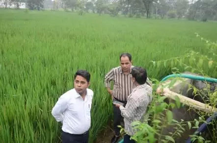 कलेक्टर ने धरसीवां क्षेत्र में गिरदावरी एवं दावा-आपत्ति निराकरण कार्य का किया निरीक्षण कलेक्टर ने धरसीवां क्षेत्र में गिरदावरी एवं दावा-आपत्ति निराकरण कार्य का किया निरीक्षण