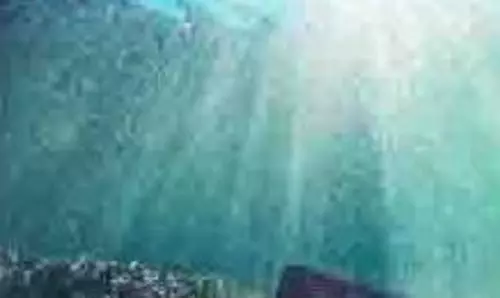 Science: समुद्र में दबे अनगिनत खजाने मिले, वैज्ञानिक बेहद खुश Science: समुद्र में दबे अनगिनत खजाने मिले, वैज्ञानिक बेहद खुश