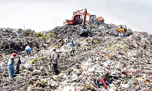 Mumbai : बीएमसी ठोस अपशिष्ट प्रबंधन लागत में 34% की वृद्धि
