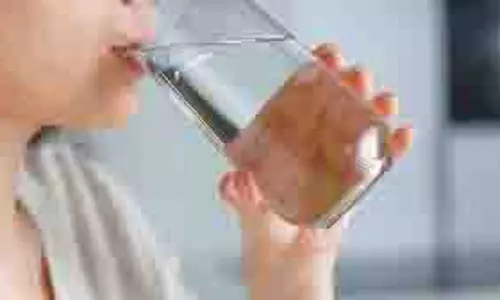 Lifestyle: स्लिम दिखना चाहते हैं तो सुबह-सुबह इस पानी का सेवन करे Lifestyle: स्लिम दिखना चाहते हैं तो सुबह-सुबह इस पानी का सेवन करे