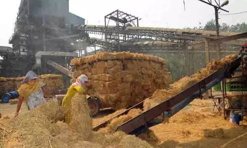 Punjab: बायोमास संयंत्र का संचालन रुका, पराली प्रबंधन की चिंता बढ़ी Punjab: बायोमास संयंत्र का संचालन रुका, पराली प्रबंधन की चिंता बढ़ी