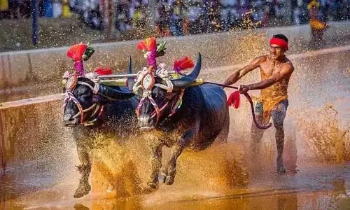 कम्बाला खेल के लिए बजट में 2 करोड़ आवंटित करें: एसोसिएशन की मांग