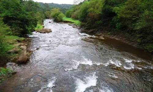 महादयी बंदुरा नाला डायवर्जन परियोजना: 5% वन्यजीव संरक्षण के लिए आरक्षित महादयी बंदुरा नाला डायवर्जन परियोजना: 5% वन्यजीव संरक्षण के लिए आरक्षित