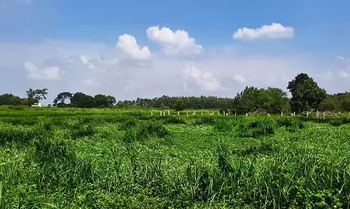 Doddaballapur : मानसून की बारिश के कारण झील ढह गई