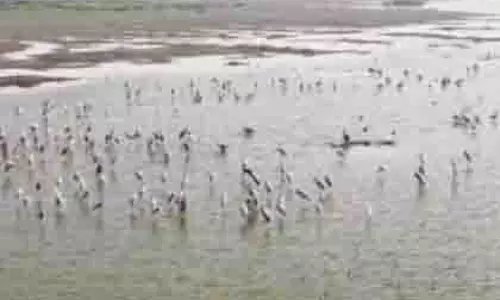 Tamil Nadu ने समानाथम टैंक को प्रस्तावित किया रामसर स्थल के रूप में