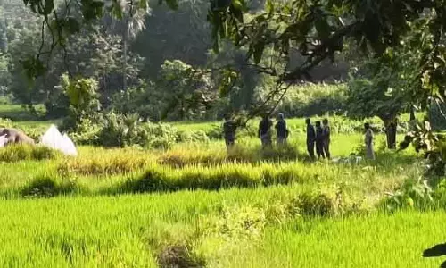 कुलडीहा अभयारण्य में टस्कर का शव मिला कुलडीहा अभयारण्य में टस्कर का शव मिला